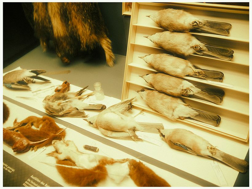 BERLIN IS AN IDEA 10