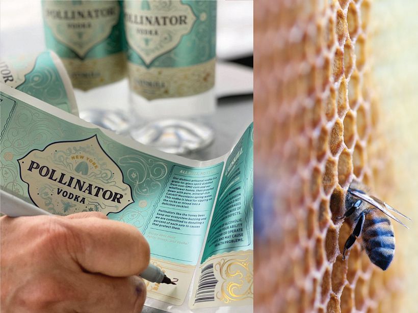 Catskill Provisions, Branding & Packaing - Design