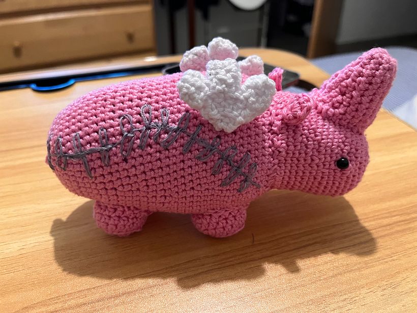 Mi proyecto del curso: Diseño y creación de amigurumis 2