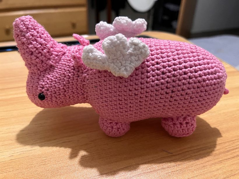 Mi proyecto del curso: Diseño y creación de amigurumis 4