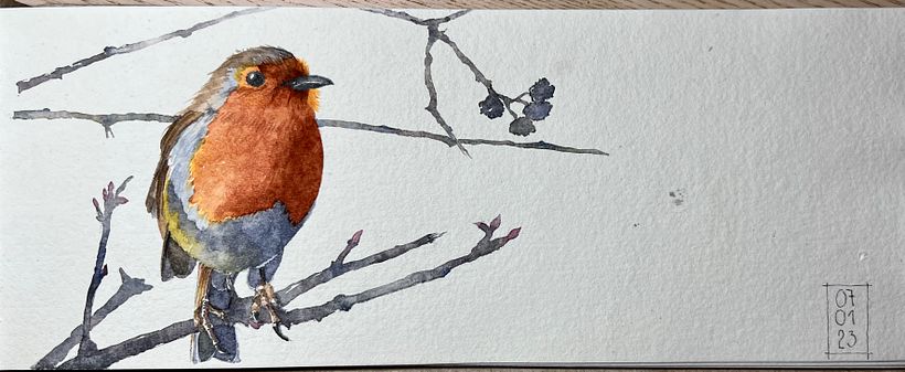 Robin