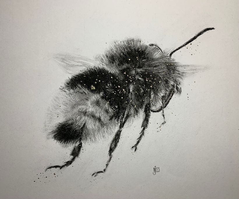My project for course: Illustrating the Natural World with Watercolor and Charcoal 2