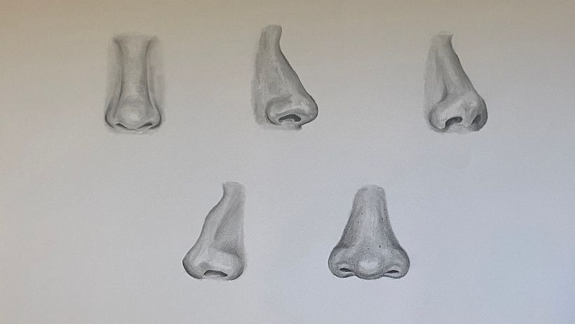 Facciones 1