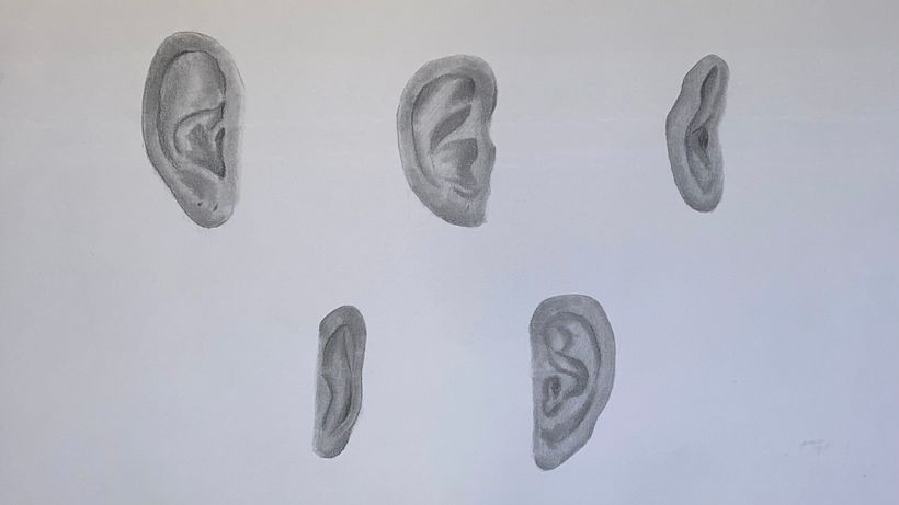 Facciones 2