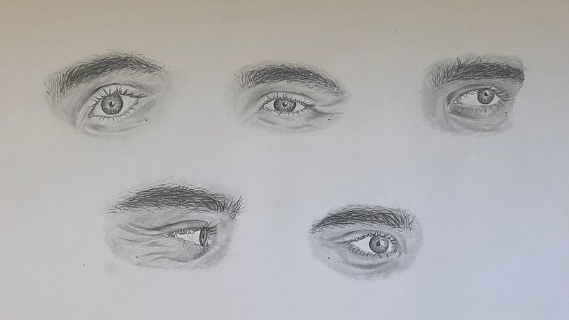 Facciones 6