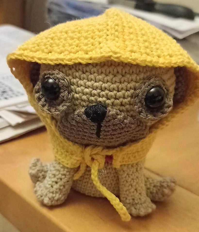 My project for course: Crochet Techniques: Make Amigurumi Characters 3