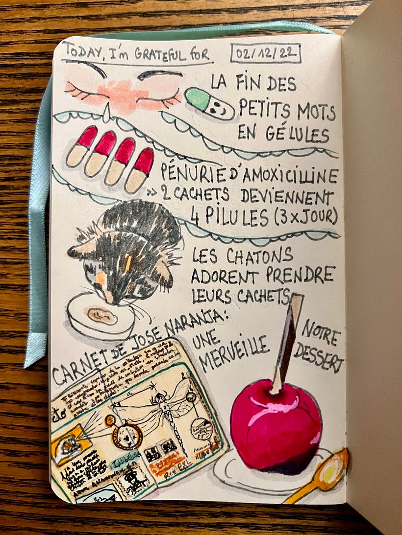 There were reasons for me to feel sad, but also to rejoice : this apple dessert ! José Naranja sketchbook !