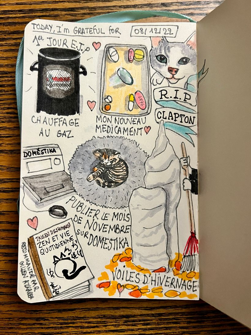 I got a new pill and it is a beauty ! I shared the sadness of a friend whose cat died, received a zen book, gardened.