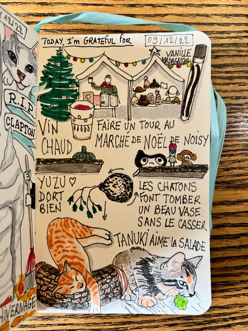 The kittens knocked over a vase and it didn't break, Tanuki tried green salad, we went to Christmas market, drank hot wine