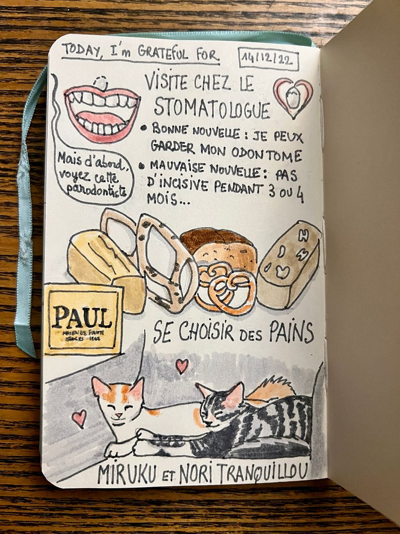 I saw an implant specialist and get both good and bad news, we bought lots of breads and enjoyed seeing our kittens