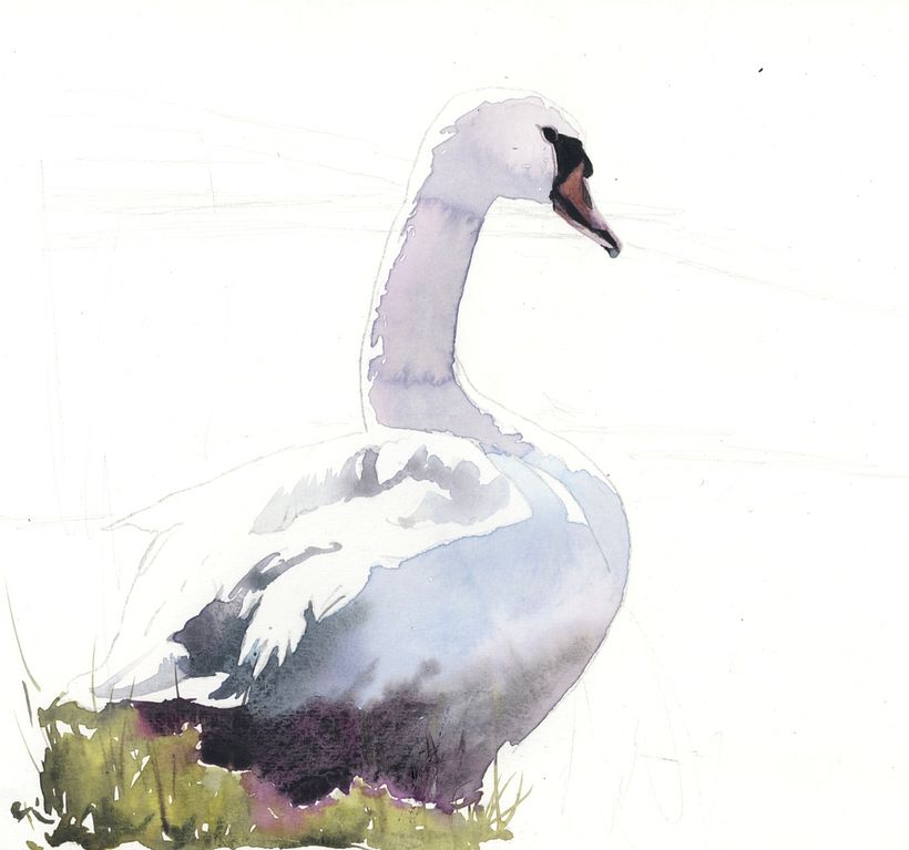 First layer, painted on dry paper, using neutral pink and blues for shadow colours.