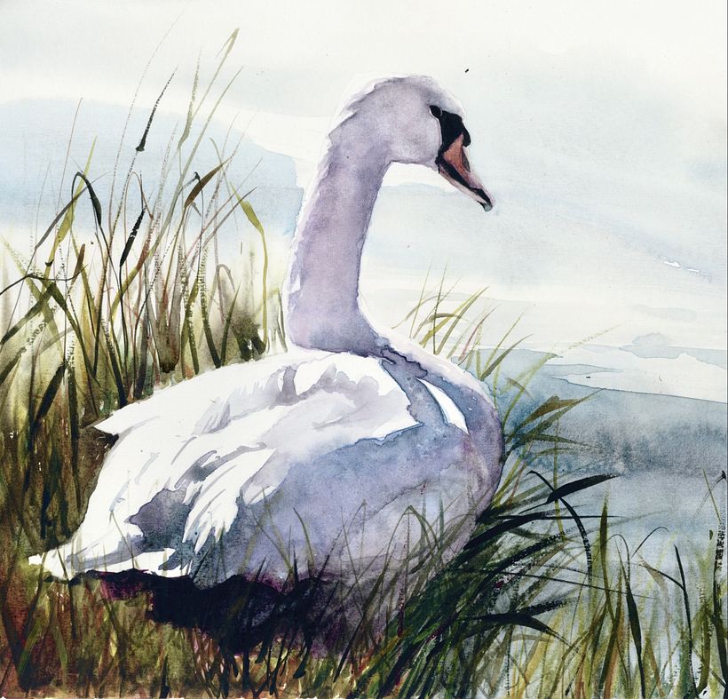 Second layer added, to darken tones and add hard edges, such as the grasses and reeds. These were applied using a rigger 
