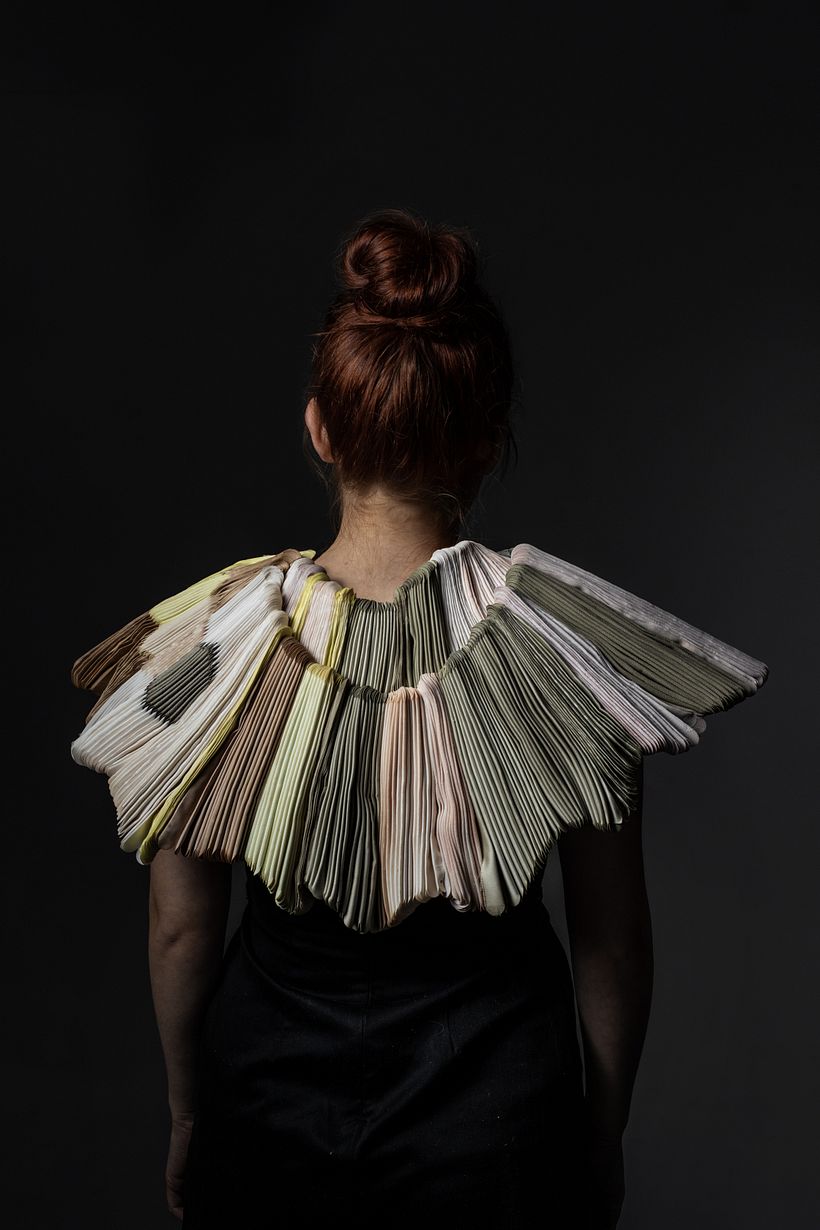 Collar "Fomitopsis officinalis"/ Foto Pilar Castro E.