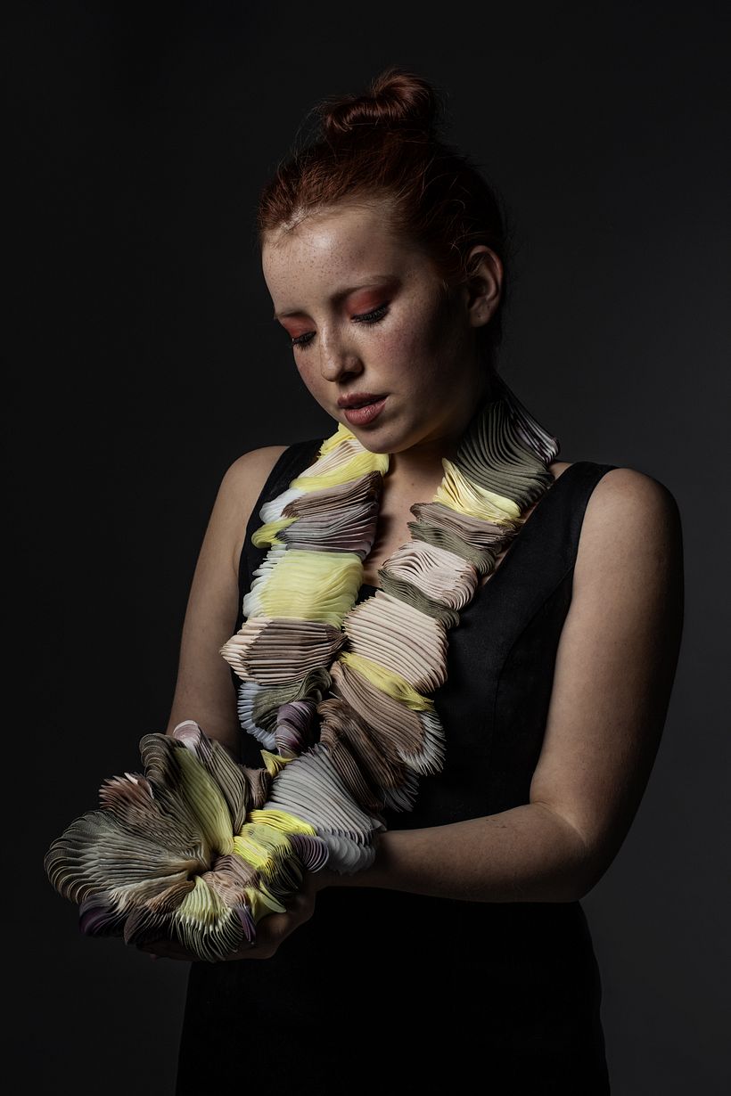 Collar "Polyporaceae" / Foto: Pilar Castro E.