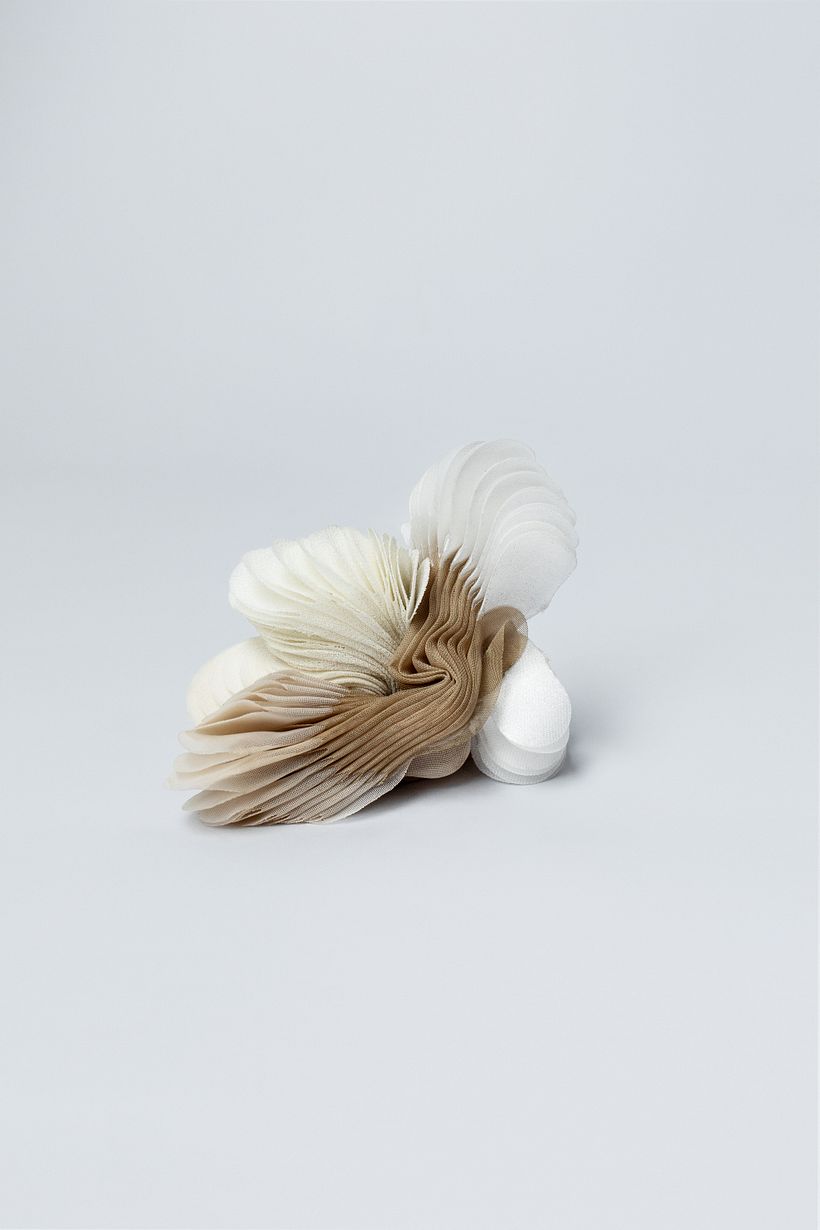 Broche "Gomphus clavatus" / Foto : Pilar Castro E.