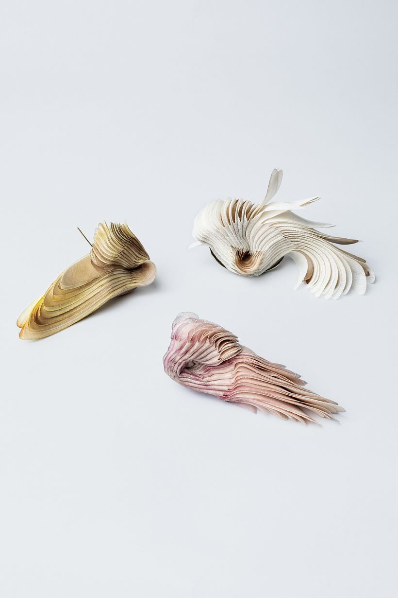 Serie Broches "Trichomycterus areolatus" / Foto: Pilar Castro E.