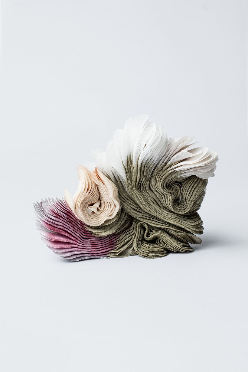 Broche "Vanvoorstia bennettiana" / Foto: Pilar Castro E.