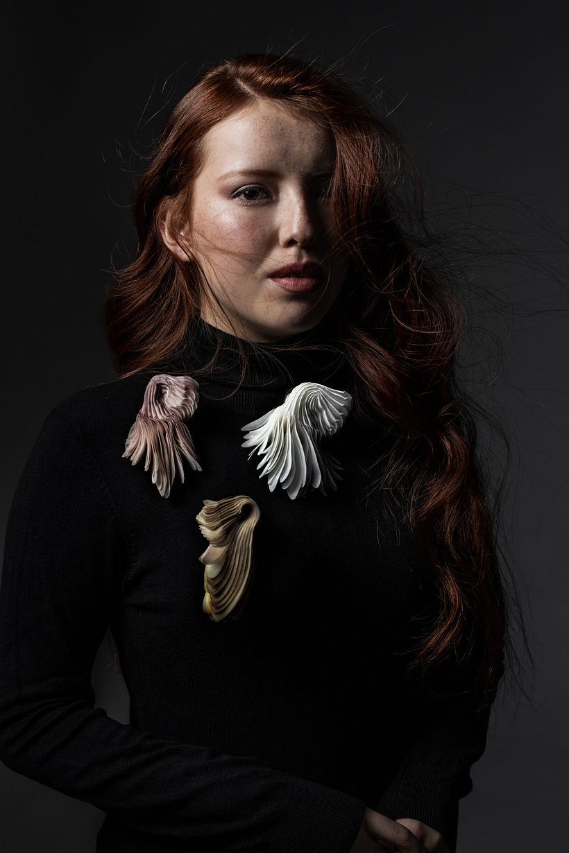 Serie Broches "Trichomycterus areolatus" / Foto: Pilar Castro E.