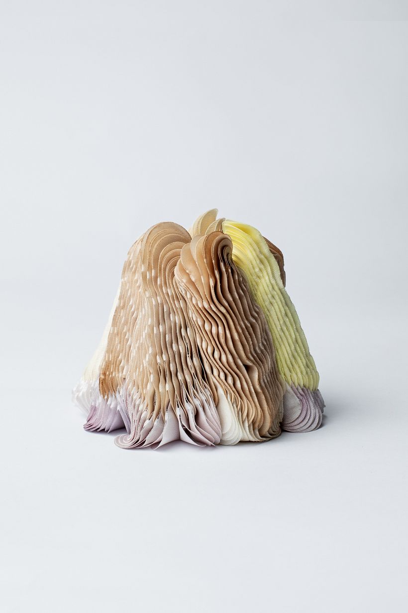 Brazalete "Phoenicoparrus jamesi" / Foto: Pilar Castro E.