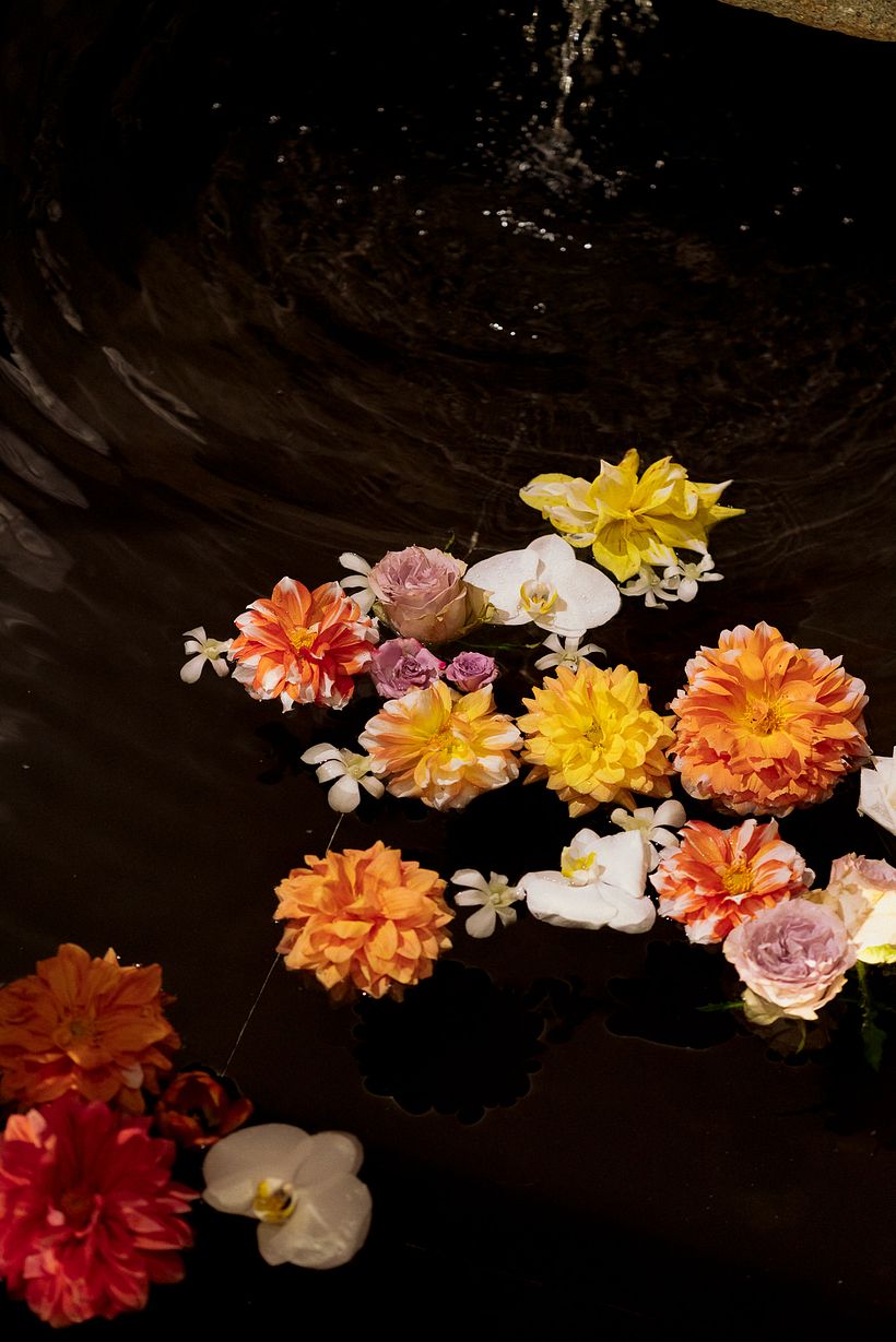 Valeria & Craigh - Diseño floral y vegetal