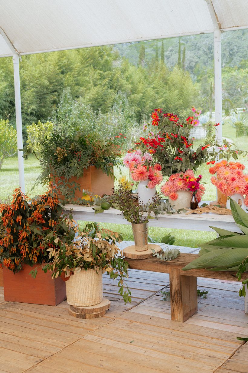 Taller en Rancho Chipicas 1