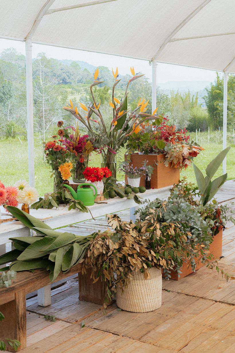 Taller en Rancho Chipicas 3