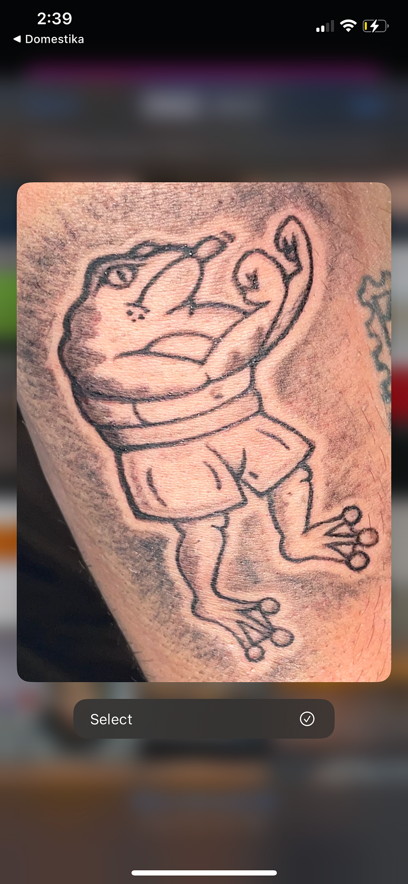 Boxing BullFrog Retro Style Tattoo