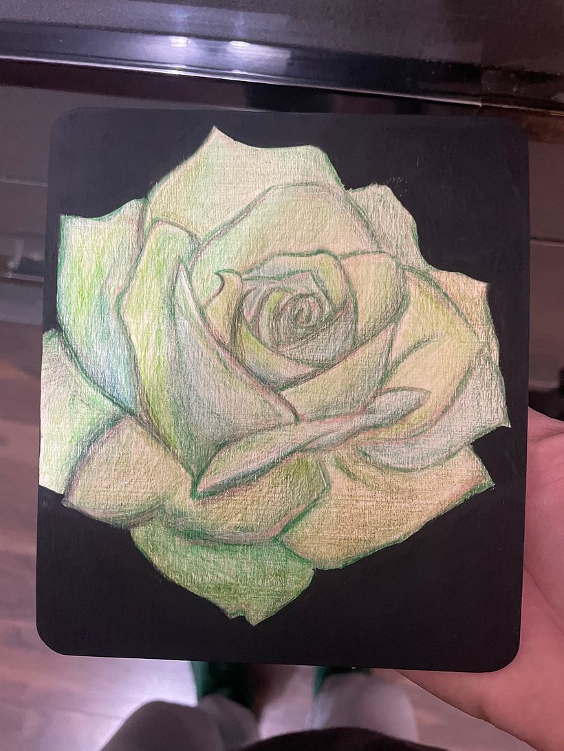 -Green Rose Pencil Crayon Art-