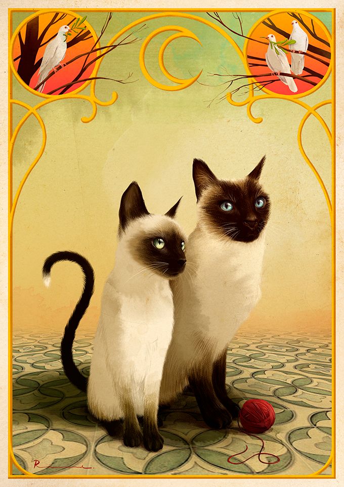 - SIAMESE AUGUST -