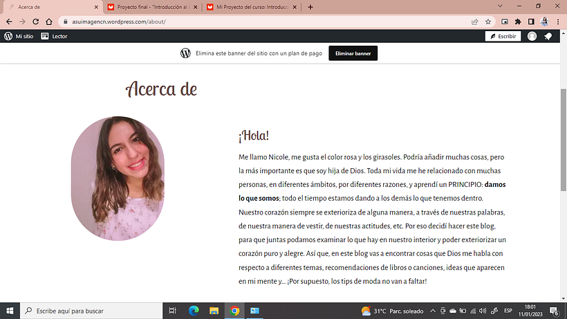 Mi Proyecto del curso: Introducción al blogging 2