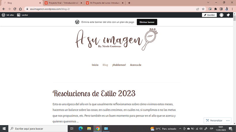 Mi Proyecto del curso: Introducción al blogging 4