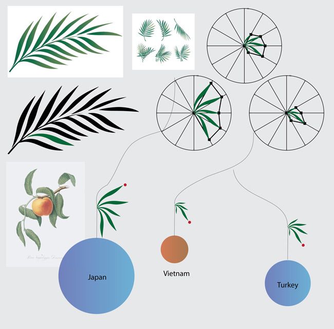 Implemented the design idea in Adobe Illustrator