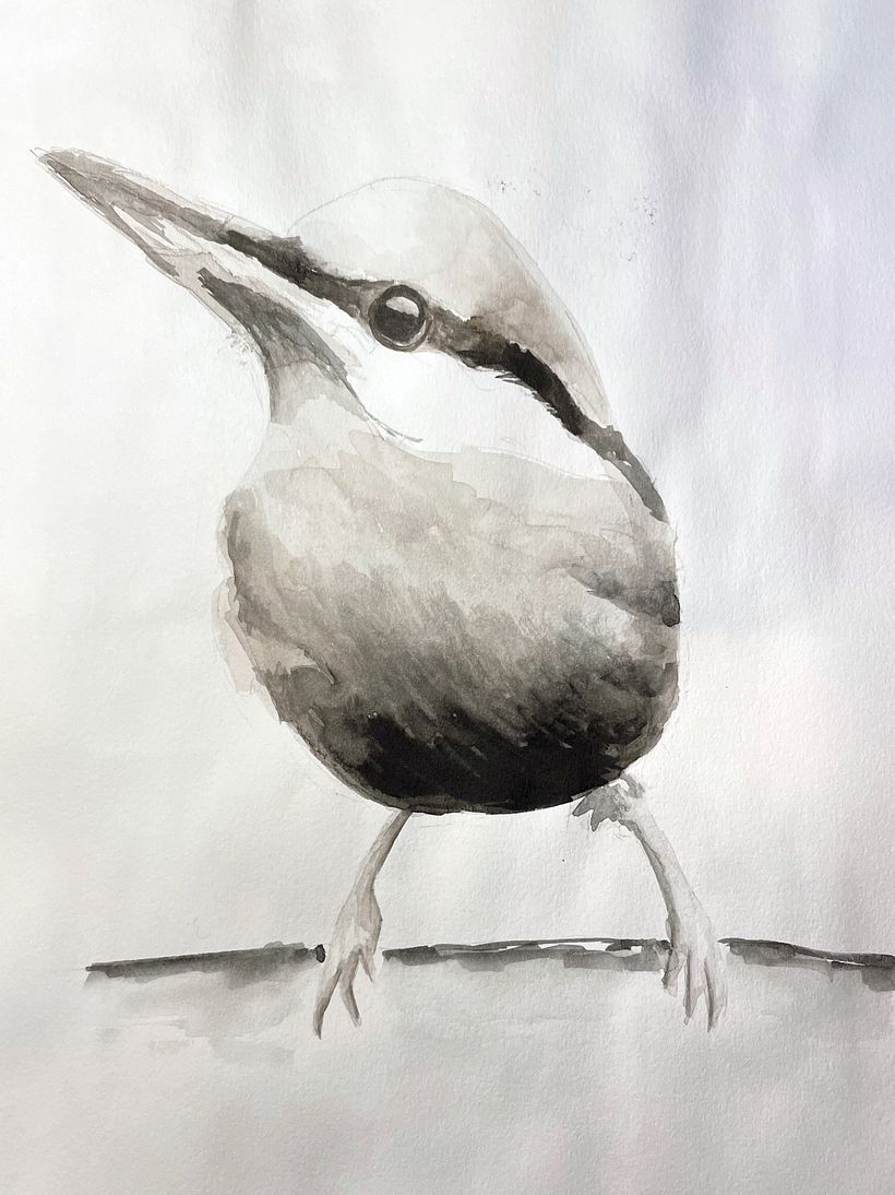 My project for course: Artistic Watercolor Techniques for Illustrating Birds 2