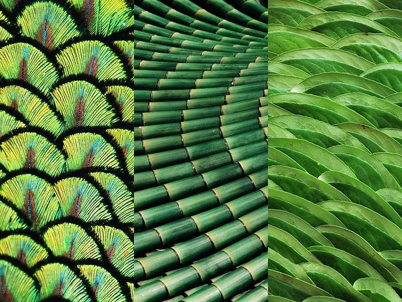 Imagen inspiración II.