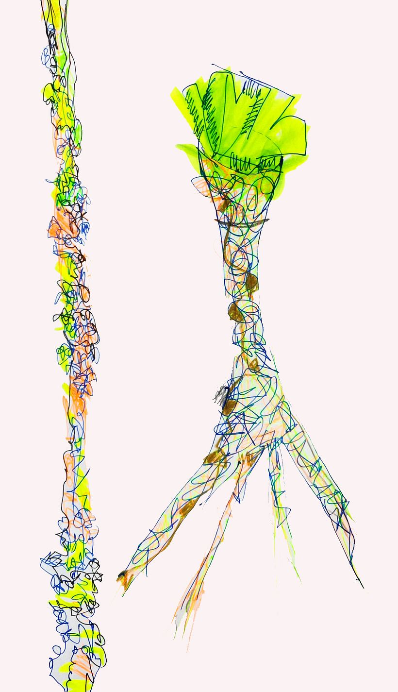 Boceto 1- Proyecto MICELIOS.