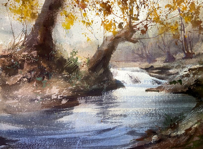 Rio na Floresta (River in the forest) 1