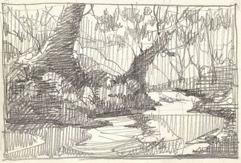 Rio na Floresta (River in the forest) 2