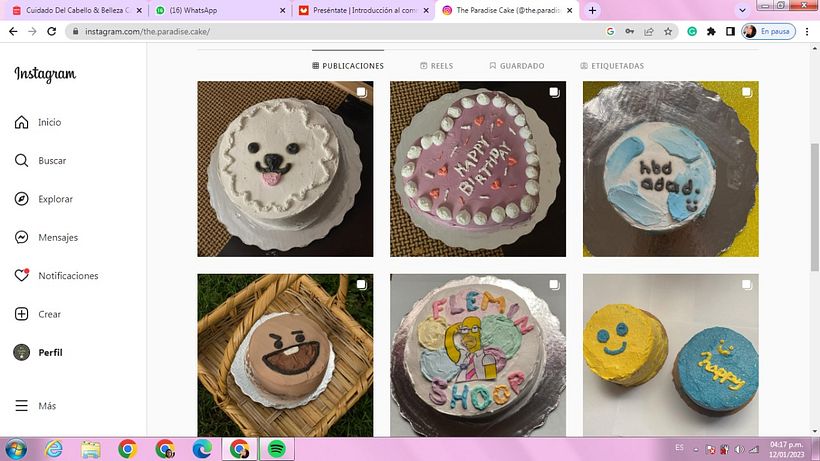 Mi proyecto del curso: Introducción al community management 4