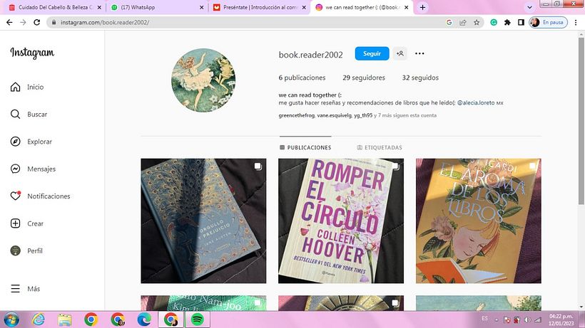 Mi proyecto del curso: Introducción al community management 5