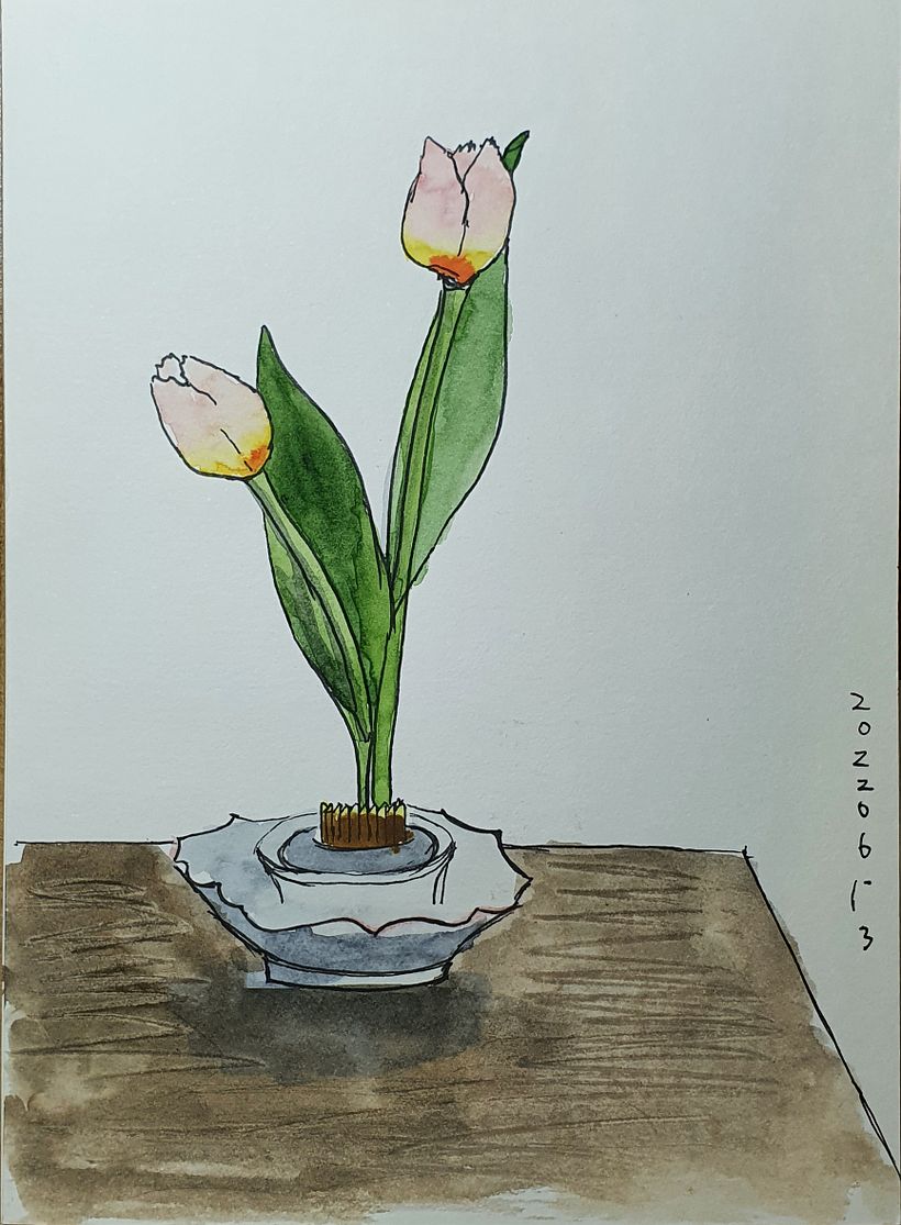 illustration of plants 2