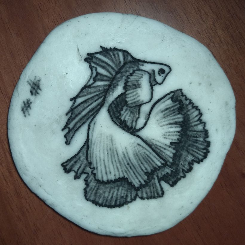 Segundo treino, também com agulha 9 RL (ainda não tinha outras).