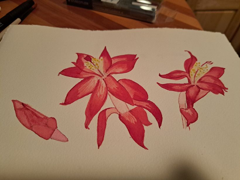 My project for course: Botanical Sketchbooking: A Meditative Approach 1