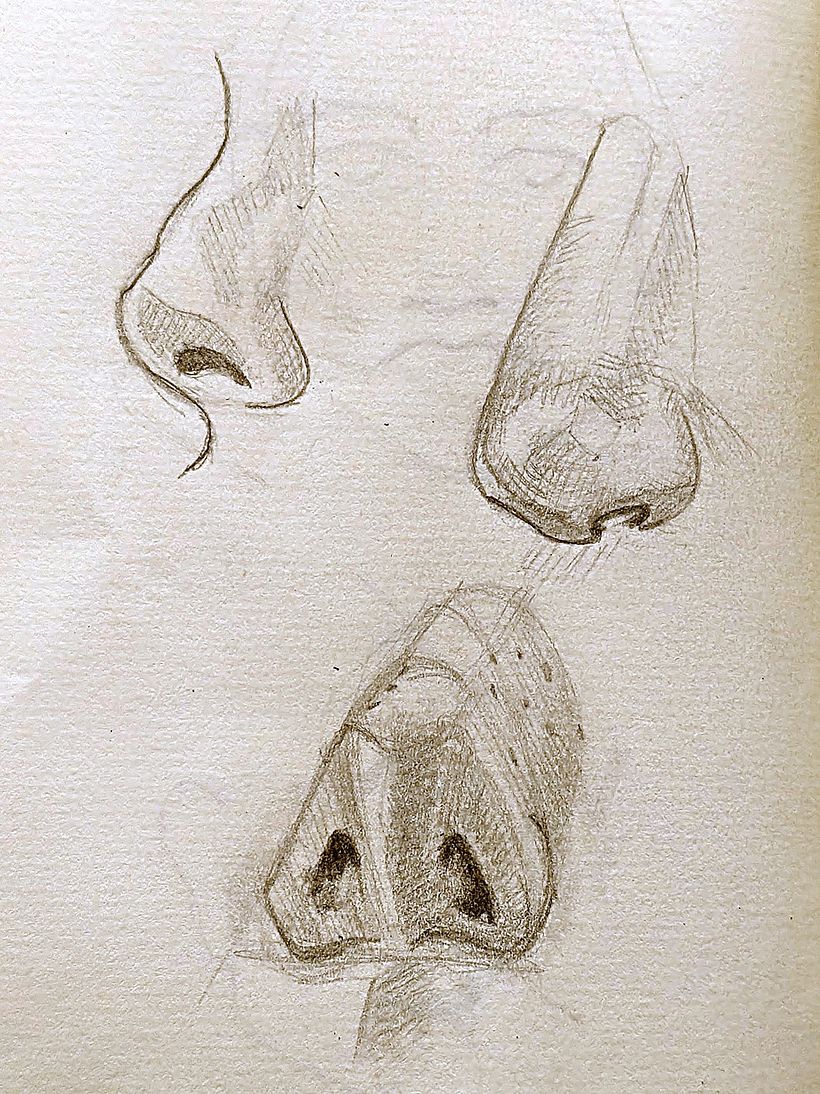 My project for course: Portrait Sketchbooking: Explore the Human Face 3