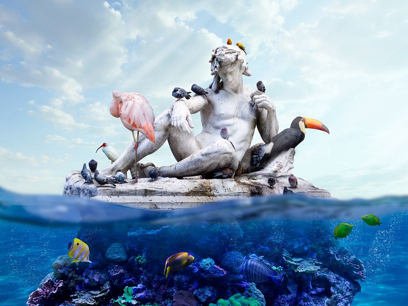 My project for course: Digital Collage in Photoshop: Composition and Visual Effects 1
