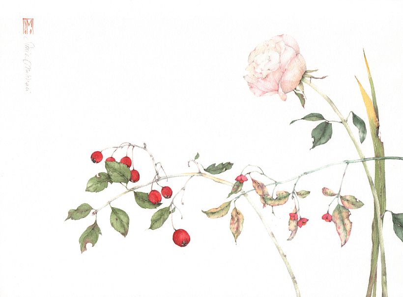Il verso del fiore_ Una passeggiata nel giardino di Emily Dickinson 7