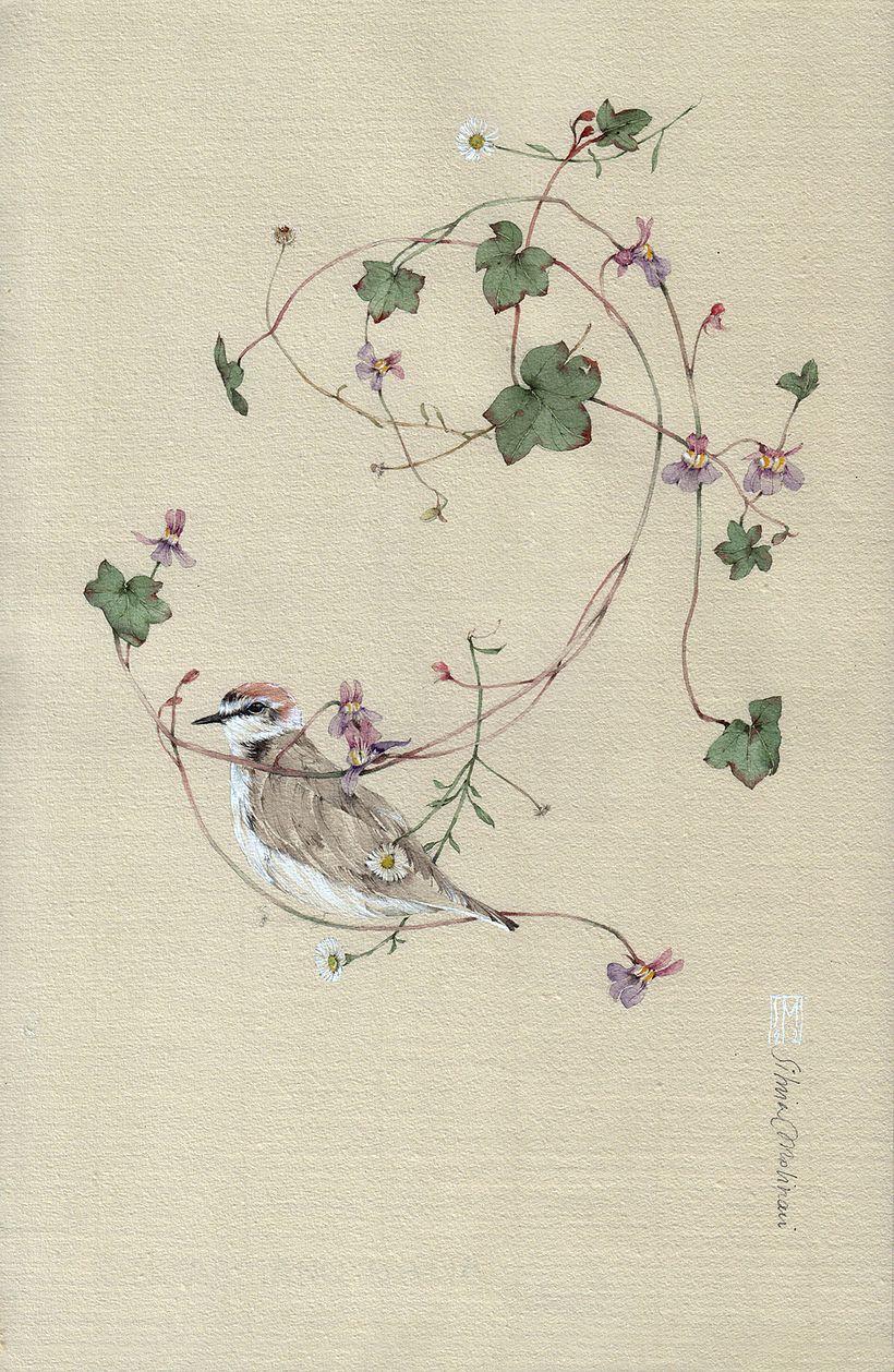 ZENTRUM 1_ ciombolino e fratino, acquerello su carta di cotone color tabacco 39x26 cm