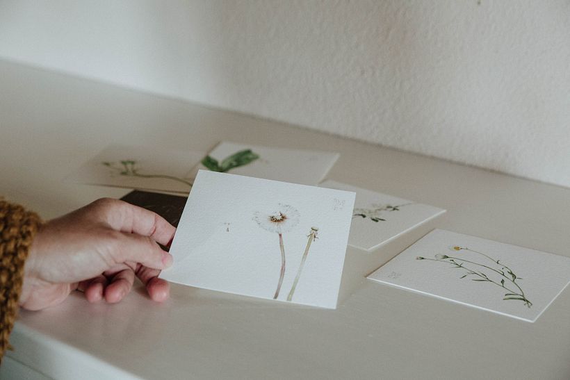 Un piccolo, bianco erbario 8