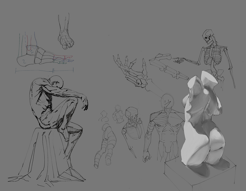  Real picture studies+ skeletal study