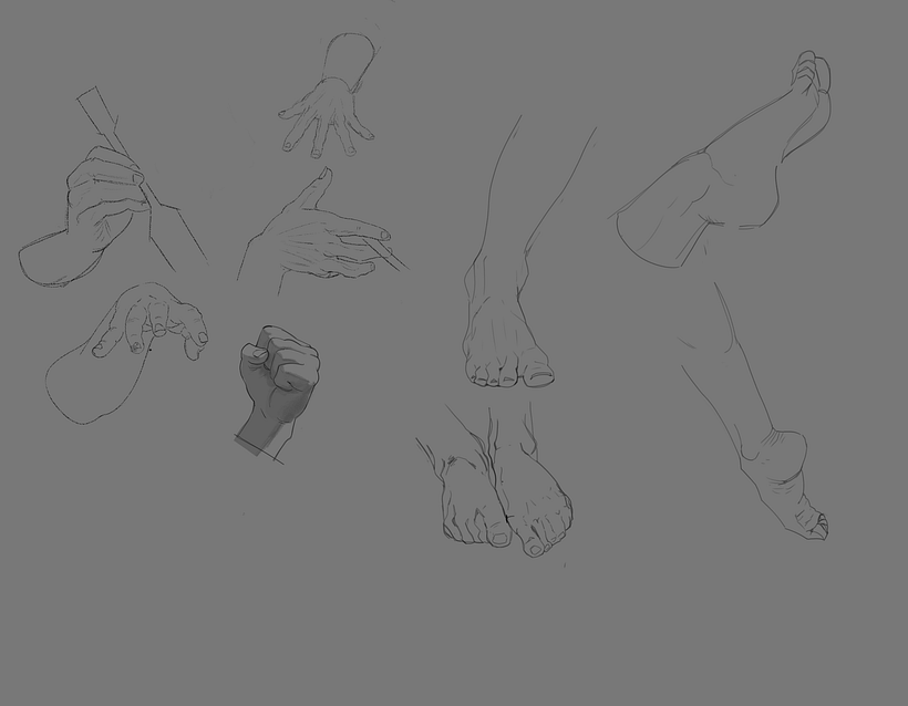 Hands and feet 