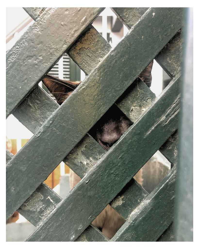 Mijn project van de cursus: Reisfotografie met je smartphone voor beginners 9